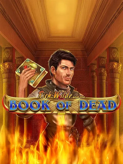 Book of Dead at NightWin Casino